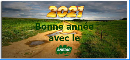 You are currently viewing Vœux pour l’année 2021