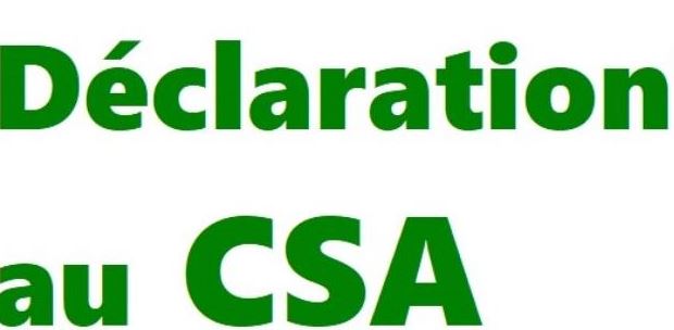 CSA-REA 30 mai 2024 : déclaration liminaire