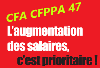 Lire la suite à propos de l’article CFA / CFPPA du Lot et Garonne : les personnels dénoncent le gel de leurs salaires