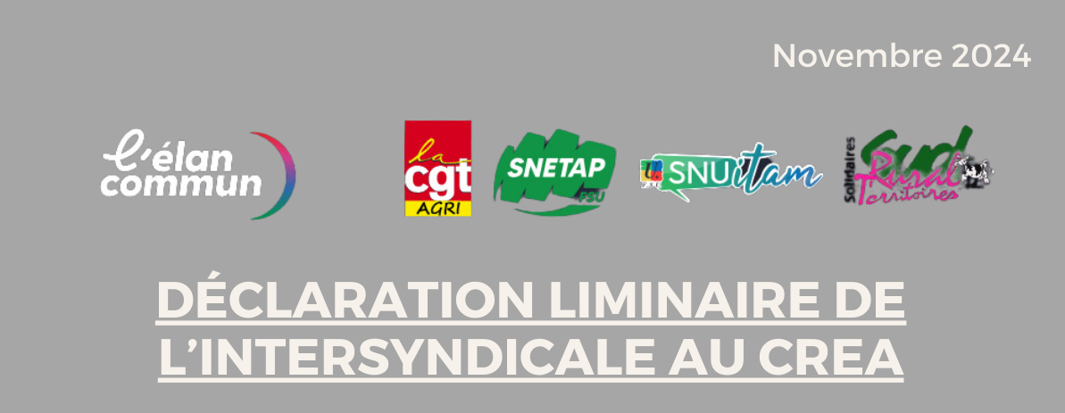 Lire la suite à propos de l’article Déclaration liminaire de l’intersyndicale Elan Commun/FO-EA au CREA du 28/11/2024 à Toulouse