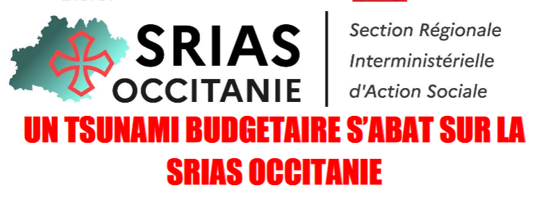Lire la suite à propos de l’article UN TSUNAMI BUDGETAIRE S’ABAT SUR LA SRIAS OCCITANIE