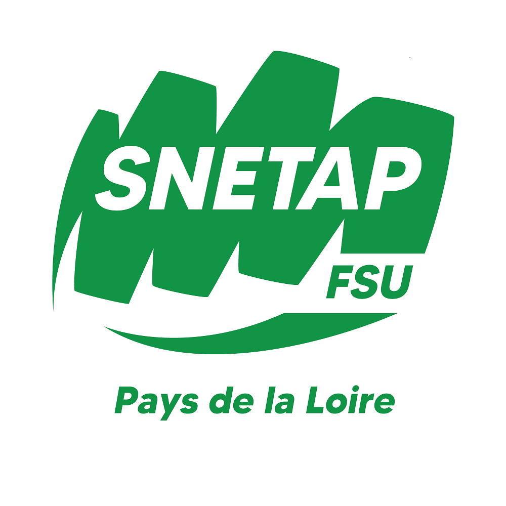 Une délégation du SNETAP-FSU rencontre  M.SCHAEFFER, Directeur du Pôle Social Région Pays de la Loire
