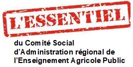 You are currently viewing L’Essentiel du CSA REA du 13/11/24 : Une rentrée dans un climat morose…mais le Ministère persiste…dans sa surdité