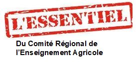 Lire la suite à propos de l’article Au royaume des incertitudes…L’Essentiel du CREA des Pays de la Loire (décembre 2024)