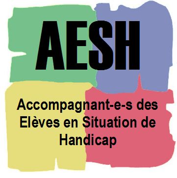 Lire la suite à propos de l’article Groupe de travail régional AESH en Pays de la Loire. Le SNETAP-FSU porte les revendications des personnels